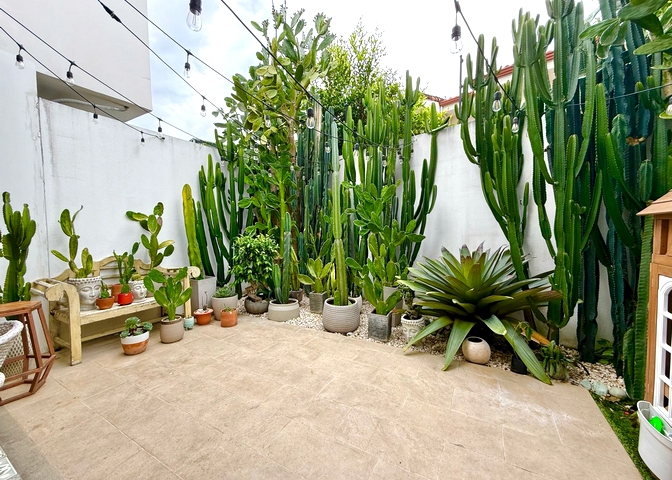 foto patio 2