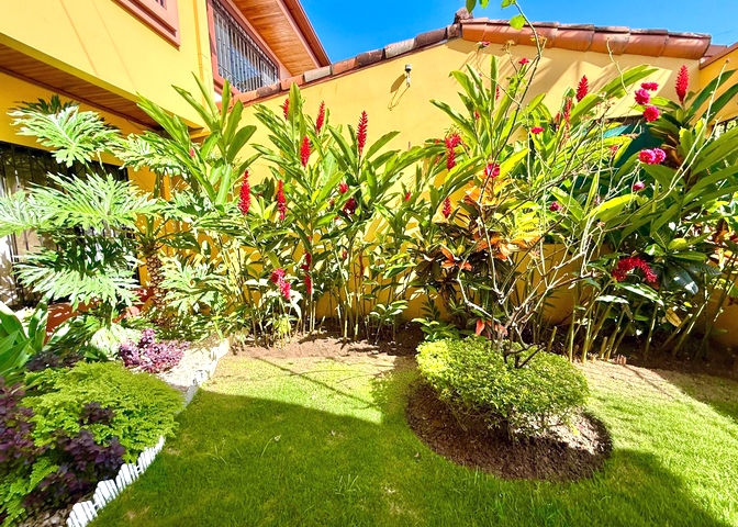 foto patio