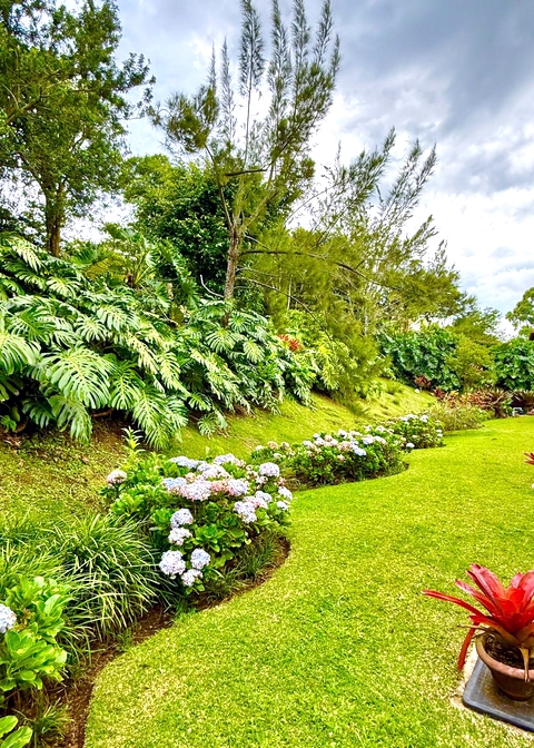 foto patio 2